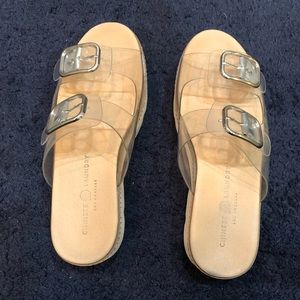 Clear wedge platform slides
